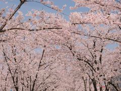 -龙美术馆(西岸馆)