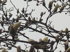 -睦南公园