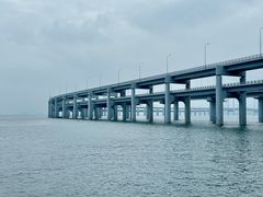 -星海湾跨海大桥
