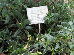 -广州神农草堂中医药博物馆
