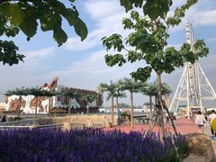 -秦皇岛乐岛海洋王国