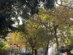 -九龙公园