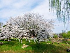-堤角公园