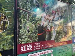 -芦仙山景区-飞越丛林探险乐园