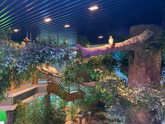 -黄海国家森林公园