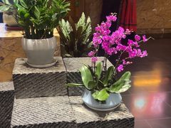 -黔蘑菇四季餐厅(观山湖店)