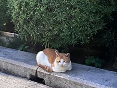 -烈士陵园(地铁站)
