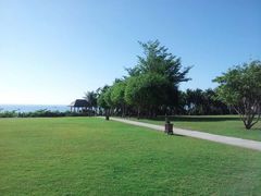 酒店大草坪-三亚亚龙湾红树林度假酒店