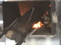 -洪湖家庭农场·团建·露营·会议