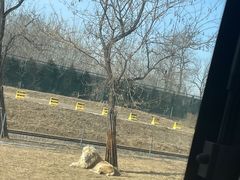 -秦皇岛野生动物园