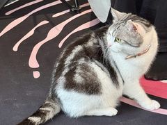 -江南西(地铁站)