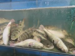 -瀏河老街土菜館(浏河店)