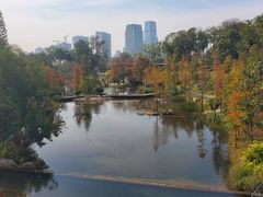 -云溪植物园
