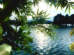 -东湖食堂·湖景餐厅•会议