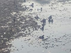 -汉江公园