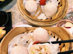 金牌虾饺皇-点都德(大茶楼店)