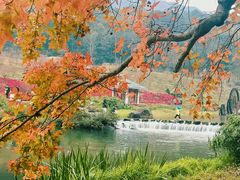 -广州市石门国家森林公园
