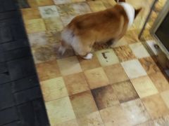 -一烙锅(友谊店)