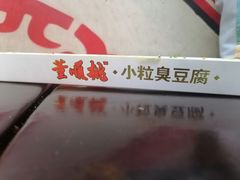 -董顺桃老长沙臭豆腐(步行街店)