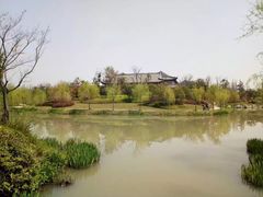 -盆景园(扬州大运河文化旅游度假区)