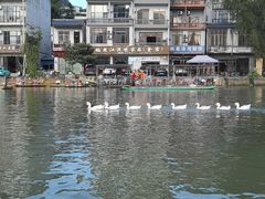 -靖西鹅泉风景区