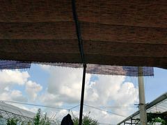 -美家乐农庄·露营·团建(大治路店)