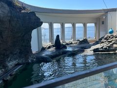 -西雅图水族馆