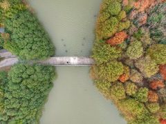 -上海海湾国家森林公园