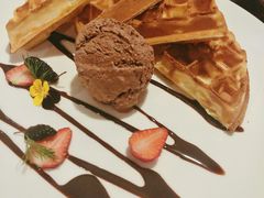 -百好乐宠物友好餐厅(朝外大街店)