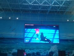 -多彩贵州城极地海洋世界