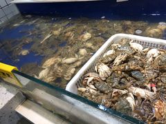 -海天盛宴新派海鲜自助餐厅(群力店)