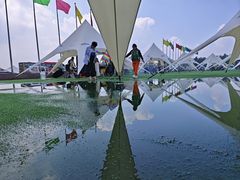 -呼兰河口湿地公园