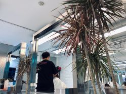 -P.STYLE 派斯造型