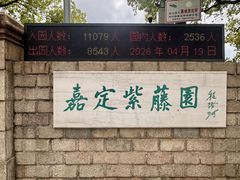 -嘉定紫藤园