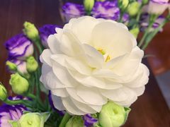 -之悦咖啡馆(新星宇·之洲店)