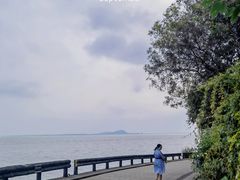 -巢湖姥山岛