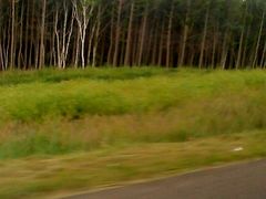 android_upload_pic-木兰围场