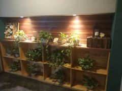 -梧桐树下(云锦世家店)