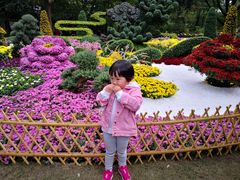 -汇龙潭