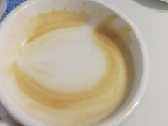 -喵的天空名猫咖啡馆·撸猫·猫舍·用品