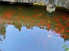 -红螺寺