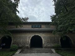 -灵谷景区