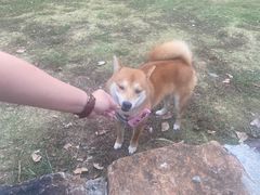 -滨湖塘西河公园