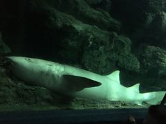 -南昌海洋公园