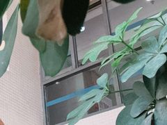-RT Coffee 放空咖啡