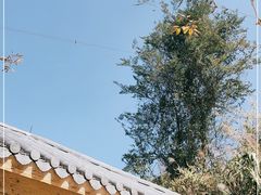 -南丹山森林王国