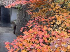-虎跑公园