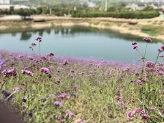 -雪浪山卡丁车俱乐部