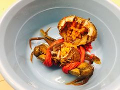 -鑫鸿达·海鲜闽菜热炒小馆(中山路店)
