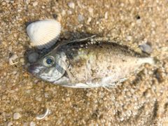 -北海市海滨公园